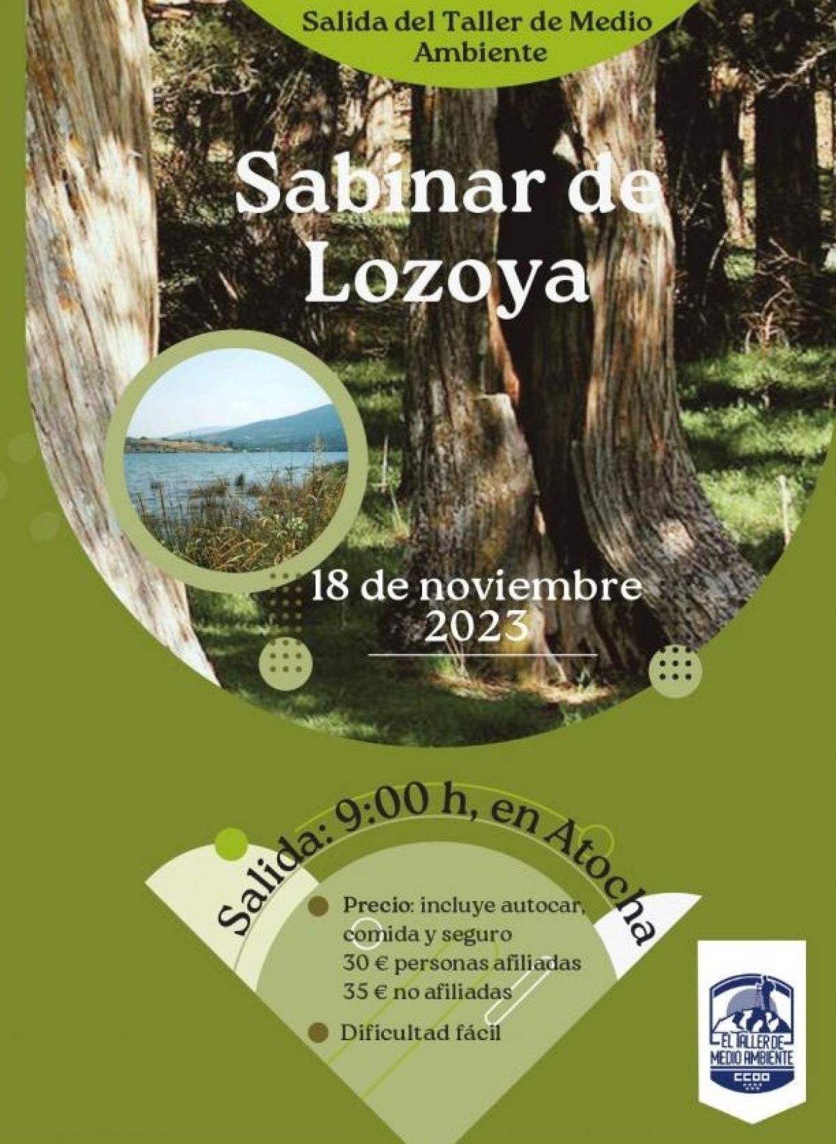 El Taller de Medio Ambiente, en el Sabinar de Lozoya